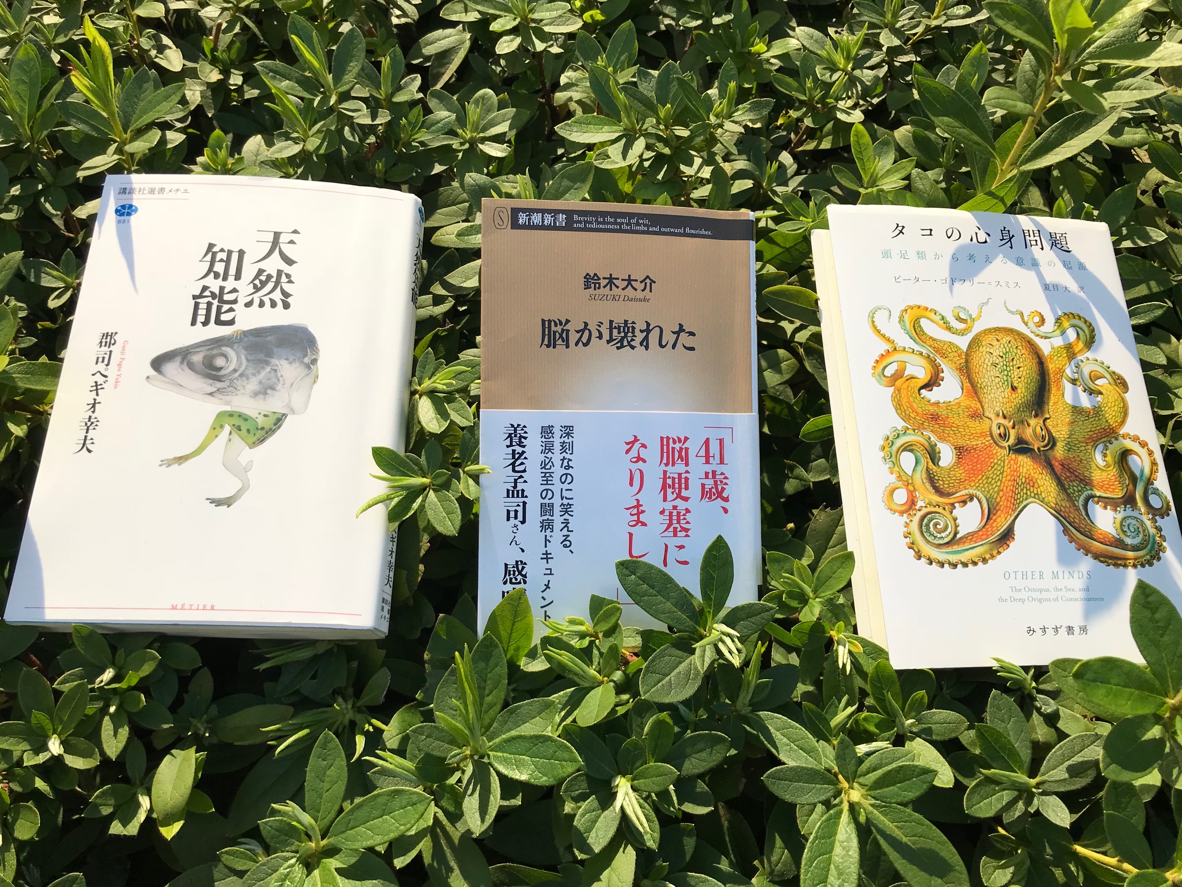 読書雑記 ダイバーシティな読書案内 vol.5 | ストーリー | DIVERSITY IN THE