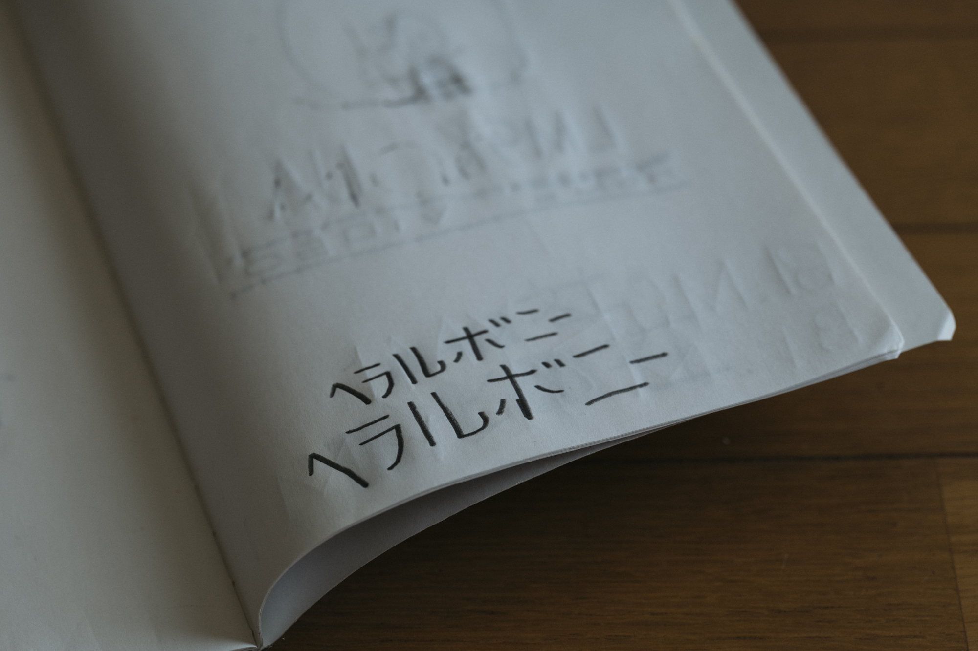 異彩を放つ 兄弟の行く先 Stories Diversity In The Arts Today 異彩を放つ 兄弟の行く先 Stories Diversity In The Arts Today