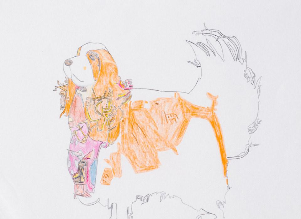 [Works]raitoさんによる犬を描いた作品。着彩は色鉛筆。内側に文様があるほか、輪郭線の一部が海岸線のようになっている。