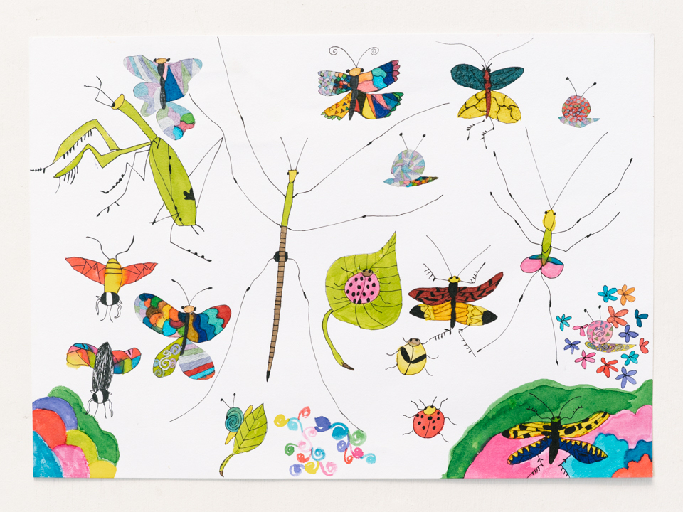 【絵】カマキリ、蝶、テントウムシ、カタツムリなど、たくさんの種類の昆虫がカラフルに描かれる。中学時代に通っていた絵画教室でも昆虫を描くことがあった、と山田さん