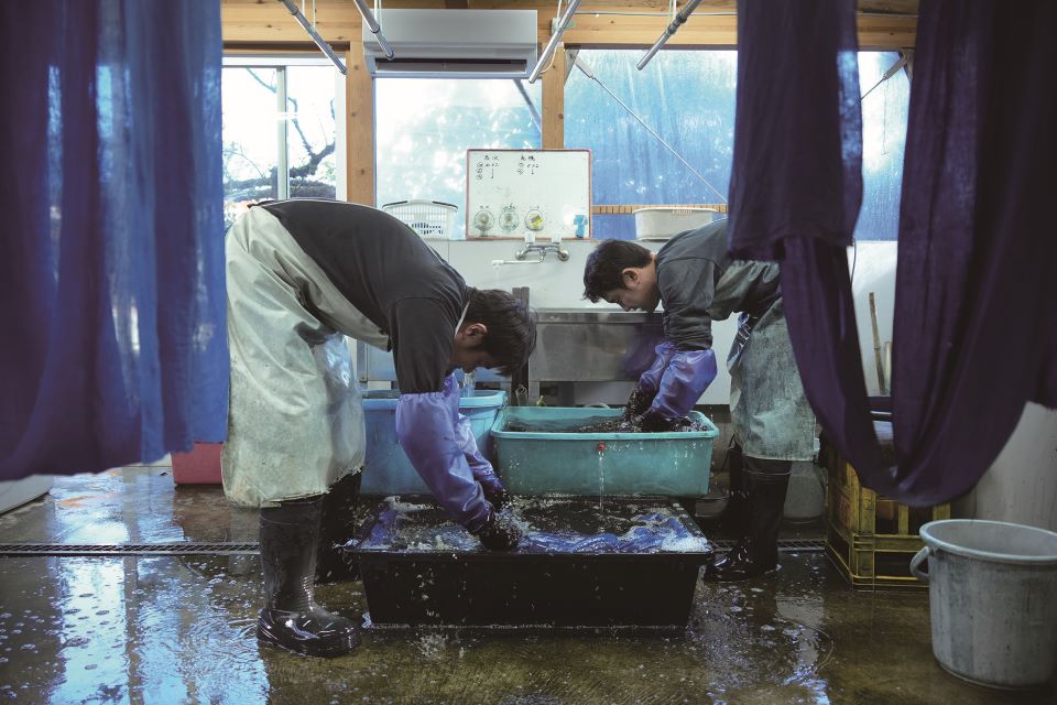 【写真】２人の人物が長手袋を着用。水のたまった桶で布を洗っている様子