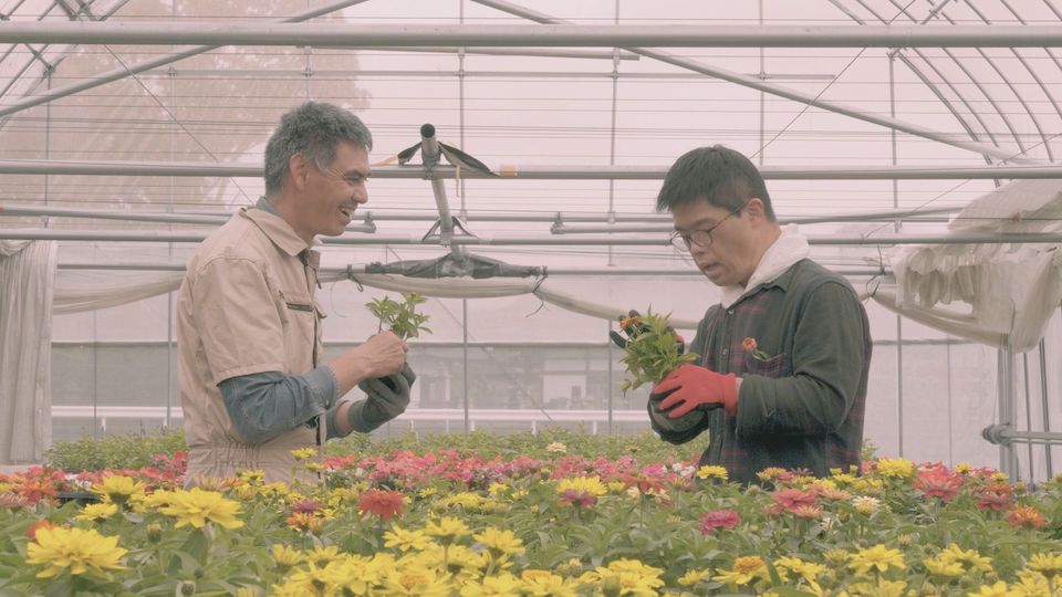 【写真】施設内のビニールハウスで、利用者のけんいちさんとたつなりさんが花の手入れをしながら会話をする様子。前方には赤や黄色の花々が覗く。