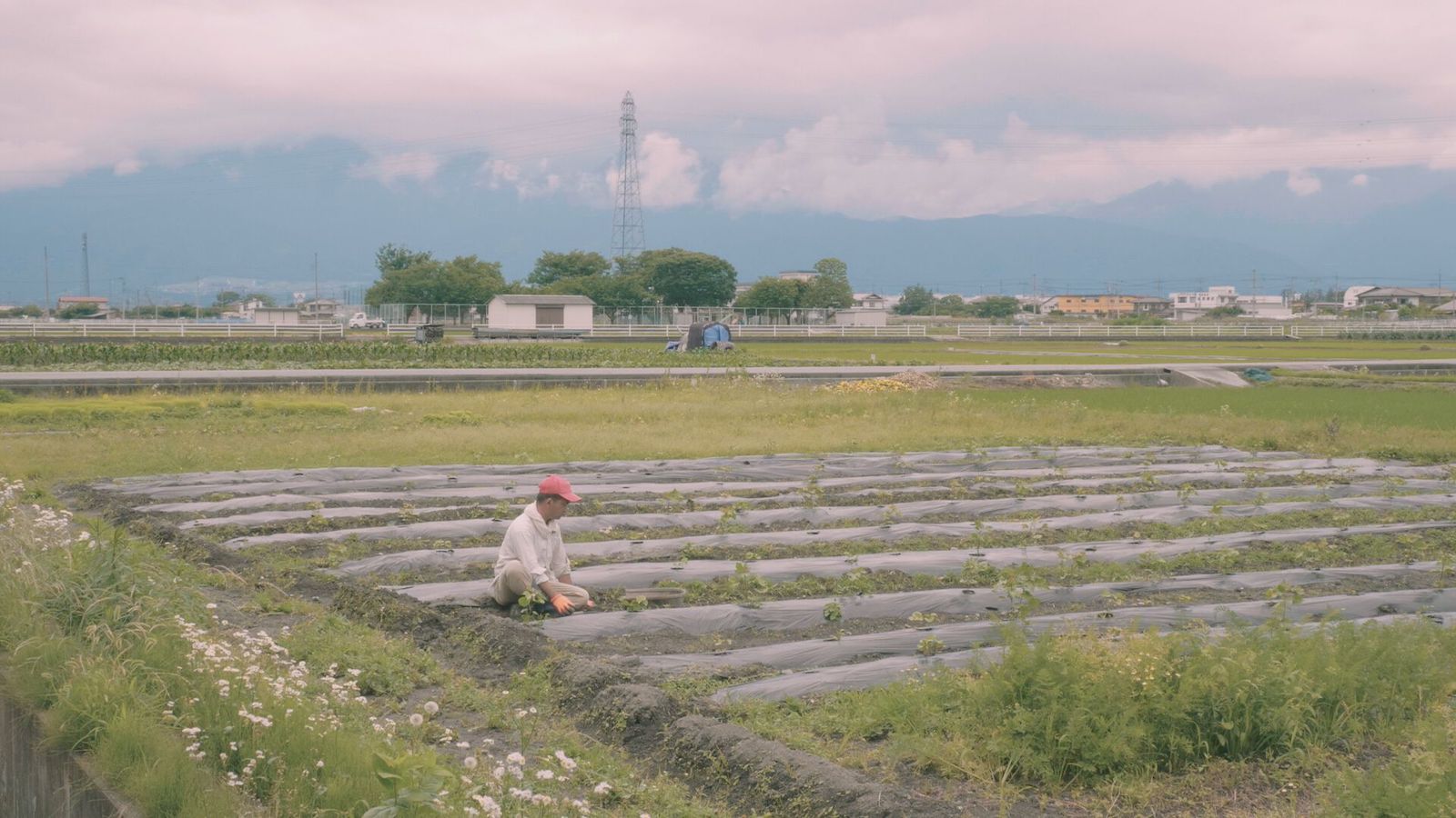 【写真】ドキュメンタリー映画『フジヤマコットントン』に登場する福祉事業所〈みらいファーム〉。同施設が所有する畑に、利用者のおおもりさんがひとりで座っている様子。